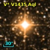 V* V1435 Aql