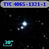 TYC 4065-1321-1