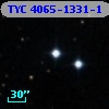 TYC 4065-1331-1