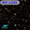 NSV 11315