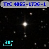 TYC 4065-1736-1