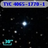 TYC 4065-1770-1