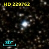 HD 229762