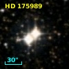 HD 175989