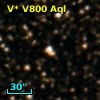V* V800 Aql