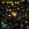 V* V491 Aql