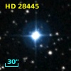 HD  28445