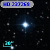 HD 237268