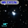 HD 237276