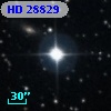 HD  28829