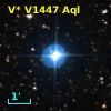 V* V1447 Aql