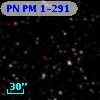 PN PM  1-291