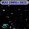 IRAS 19091+1021