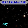 IRAS 19116+1016