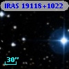 IRAS 19118+1022