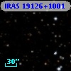 IRAS 19126+1001