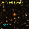 V* V1638 Aql