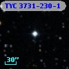 TYC 3731-230-1