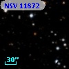 NSV 11872