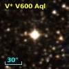 V* V600 Aql