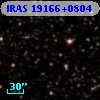 IRAS 19166+0804