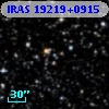 IRAS 19219+0915