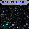IRAS 19219+0831