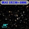 IRAS 19230+1006