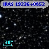 IRAS 19236+0852