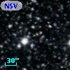 NSV 11991