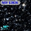 NSV 12028