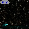 V* V1317 Aql