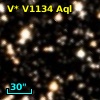 V* V1134 Aql
