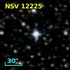 NSV 12225