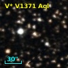 V* V1371 Aql