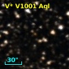 V* V1001 Aql