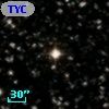 TYC 1060-81-1