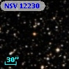 NSV 12230