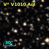 V* V1010 Aql