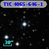 TYC 4065-646-1
