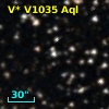 V* V1035 Aql