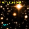 V* V1161 Aql