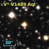 V* V1489 Aql