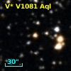 V* V1081 Aql
