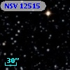 NSV 12515
