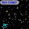 NSV 12667