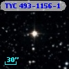 TYC  493-1156-1