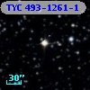 TYC  493-1261-1