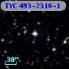 TYC  493-2318-1