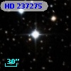 HD 237275